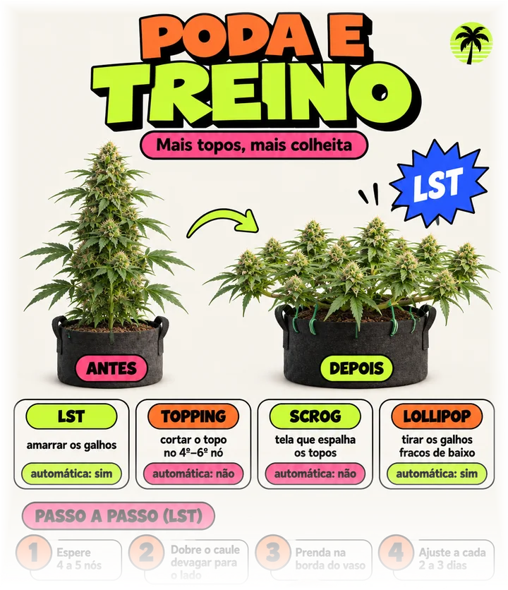 Página Poda e treino, com antes e depois da planta e o passo a passo numerado